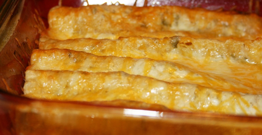 chicken enchiladas