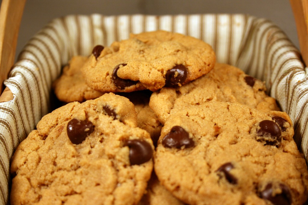 flourless pb choco chip_edited-2