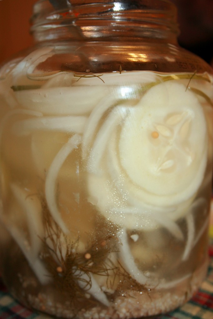 pickle slices