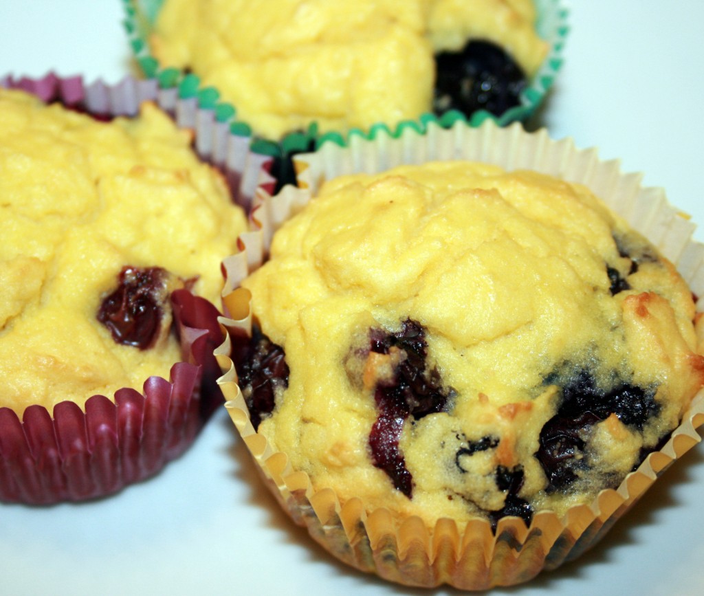 blueberry muffins grain free