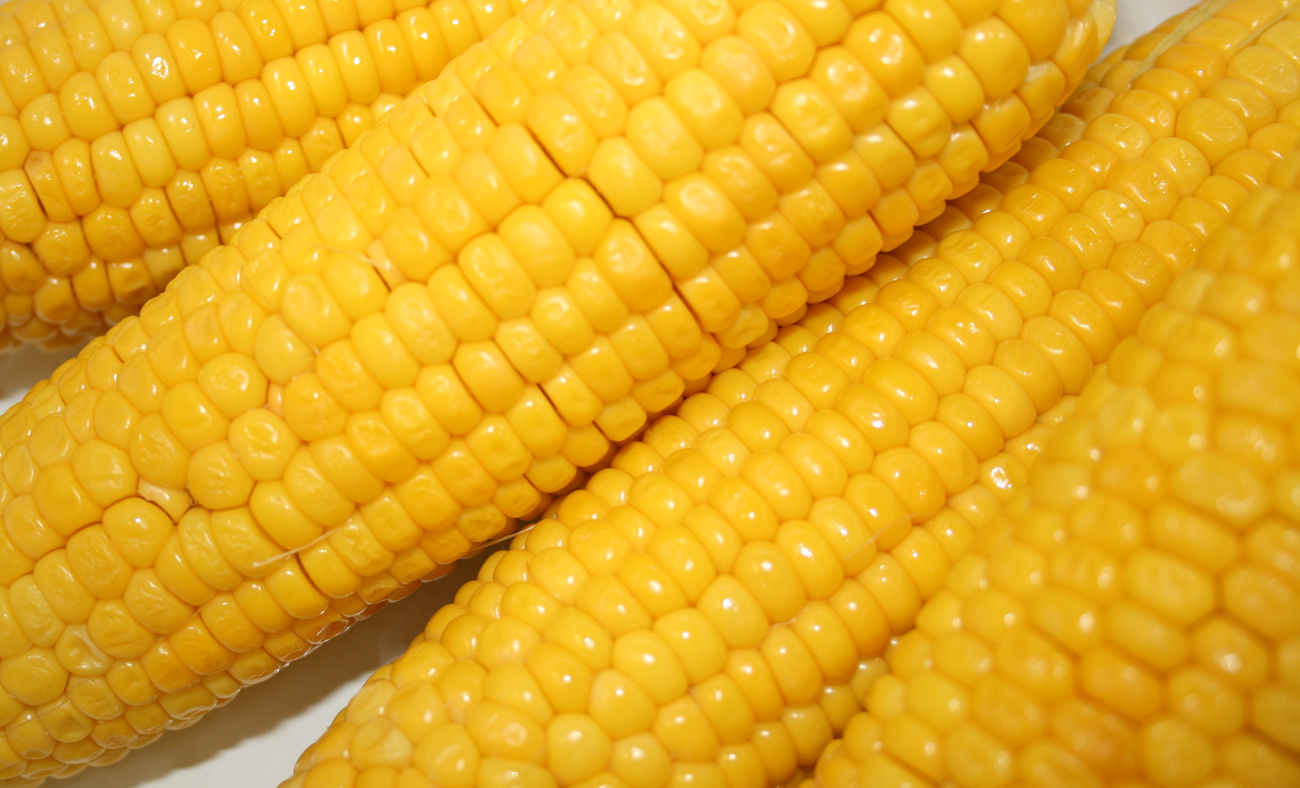 Corn Stock Photos & Pictures. Royalty Free Corn Images And ...